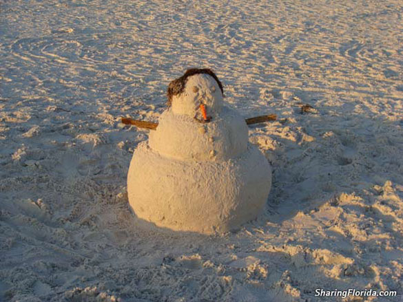 Florida Snowman